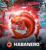 HABANERO